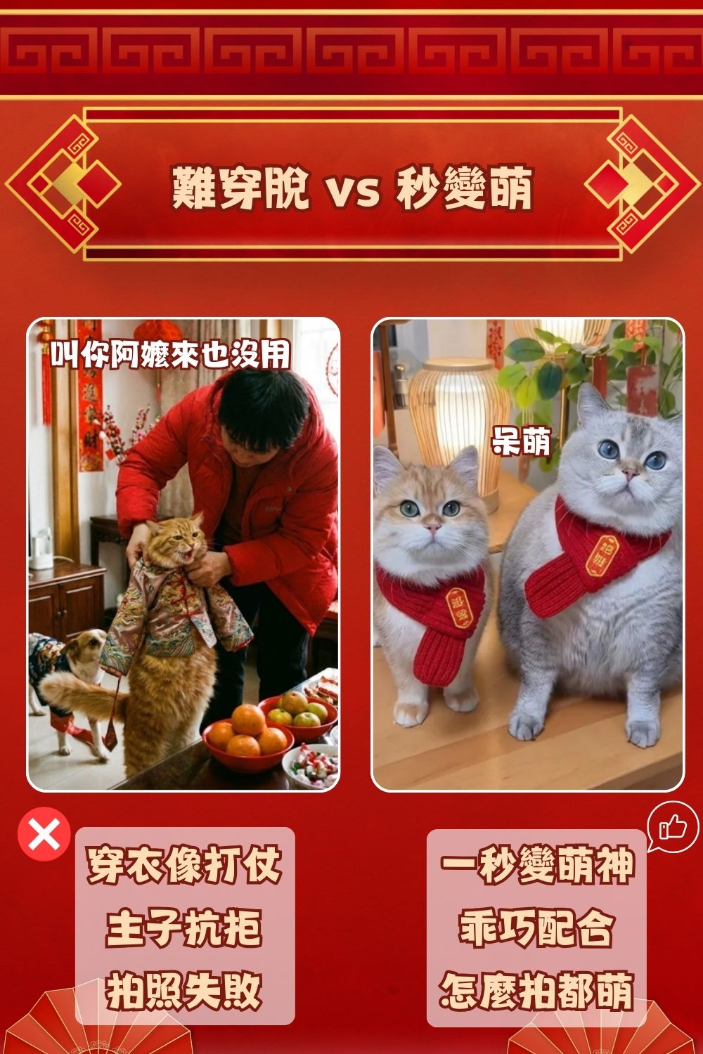 2026新春限定！萌寵拜年小圍脖